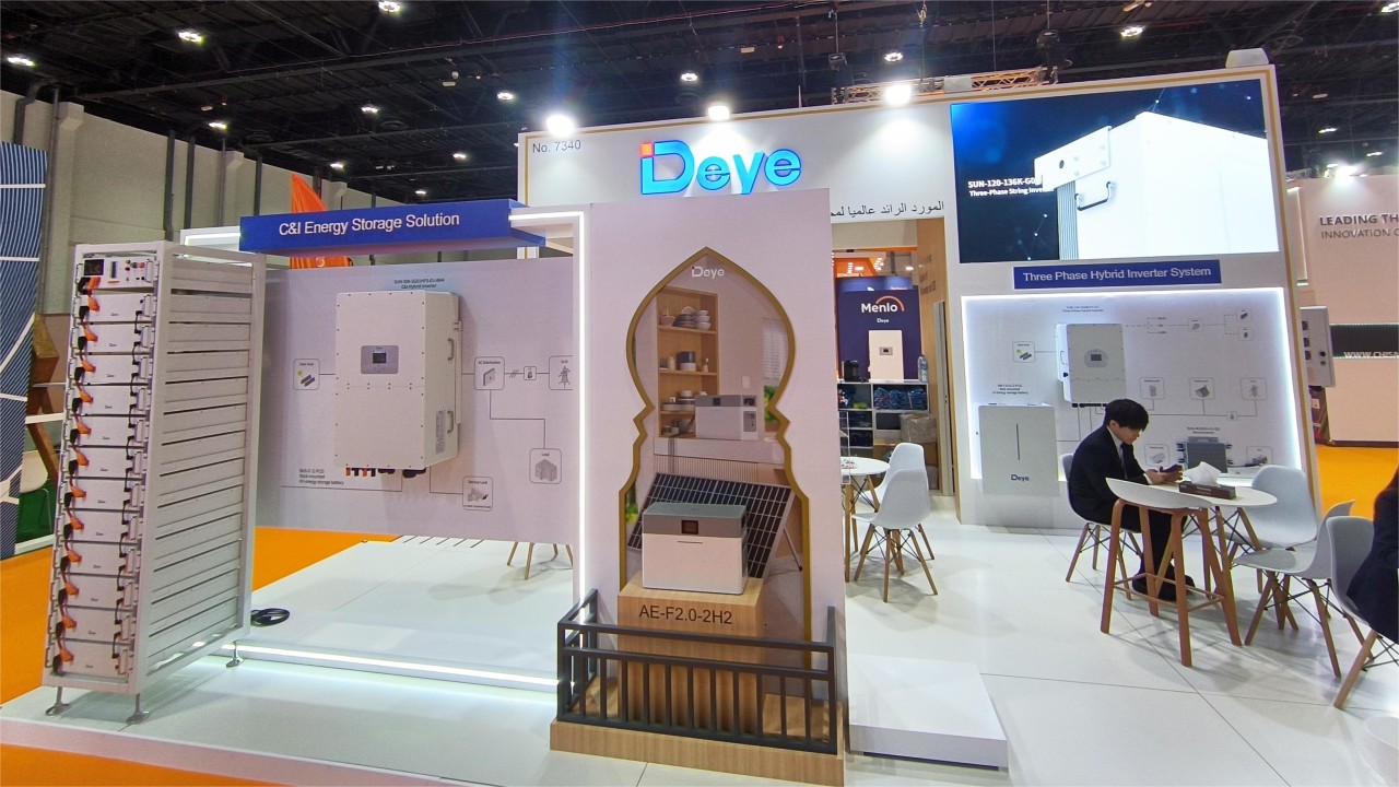 Deye的气候行动：世界上未来能源峰会的桥接解决方案